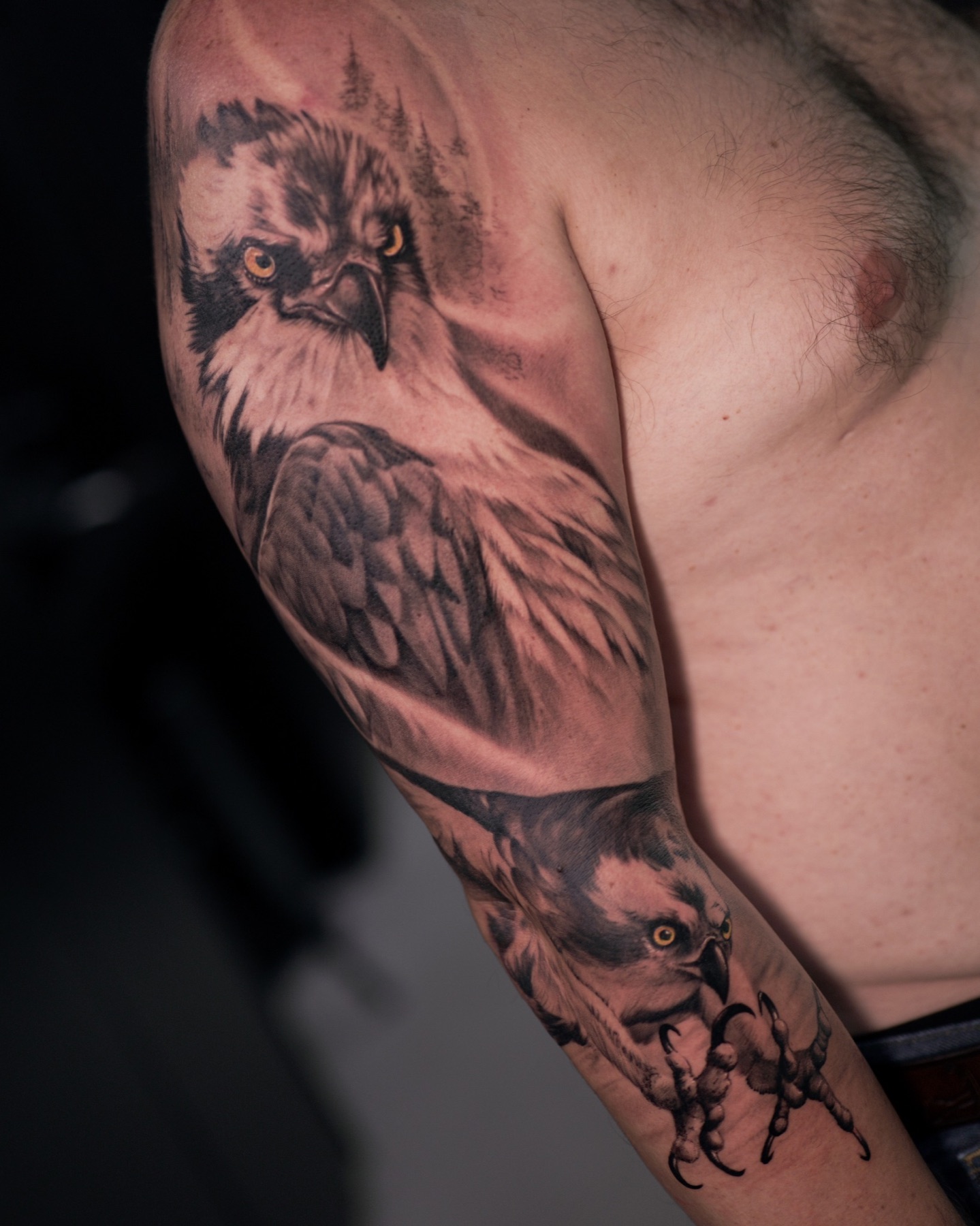 Black and Grey realism birds of prey sleeve tattoo in Zürich by Alex Josits